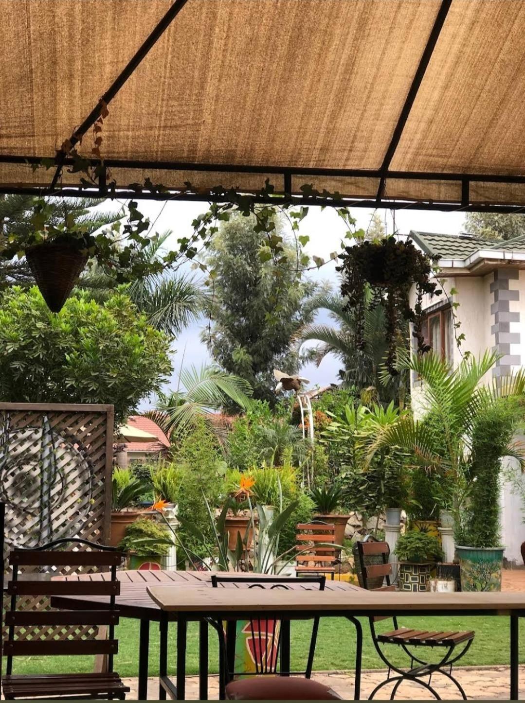 Plant House Otel Ruiru Dış mekan fotoğraf